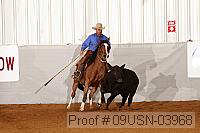 09usn-03968 proof