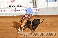09usn-03970 proof