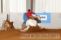 09usn-03971 proof