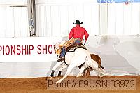 09usn-03972 proof
