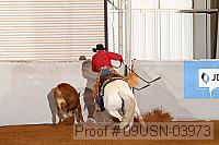 09usn-03973 proof