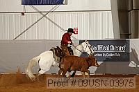 09usn-03975 proof
