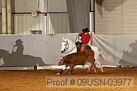 09usn-03977 proof