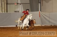 09usn-03978 proof