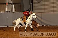 09usn-03980 proof