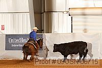 09usn-06715 proof