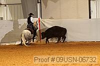 09usn-06732 proof
