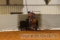 09usn-06739 proof