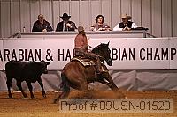 09usn-01520 proof