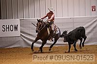 09usn-01523 proof