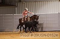 09usn-01524 proof