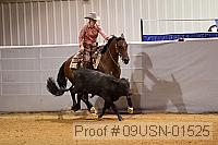 09usn-01525 proof