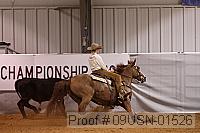 09usn-01526 proof