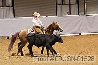 09usn-01528 proof
