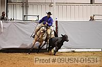 09usn-01531 proof