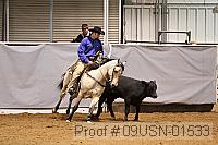 09usn-01533 proof