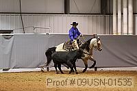 09usn-01535 proof