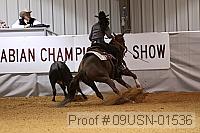 09usn-01536 proof