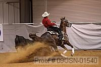 09usn-01540 proof