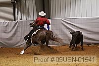 09usn-01541 proof
