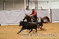 09usn-01543 proof