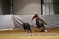 09usn-01544 proof