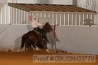 09usn-03779 proof