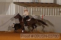 09usn-03780 proof
