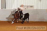 09usn-03781 proof