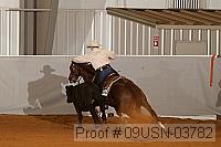 09usn-03782 proof