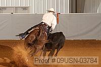 09usn-03784 proof