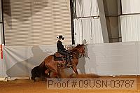 09usn-03787 proof
