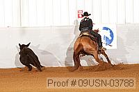 09usn-03788 proof