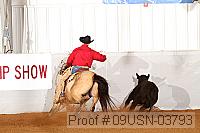 09usn-03793 proof