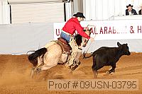 09usn-03795 proof