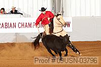 09usn-03796 proof