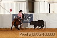 09usn-03800 proof