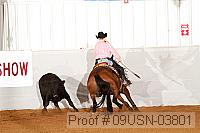 09usn-03801 proof
