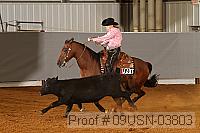 09usn-03803 proof