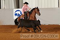 09usn-03804 proof