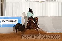 09usn-03806 proof