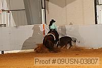 09usn-03807 proof