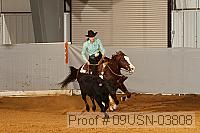 09usn-03808 proof