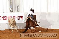 09usn-06620 proof