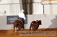 09usn-06628 proof