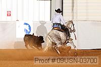 09usn-03700 proof