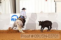 09usn-03701 proof