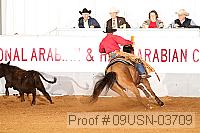 09usn-03709 proof