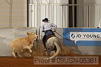 09usn-05381 proof
