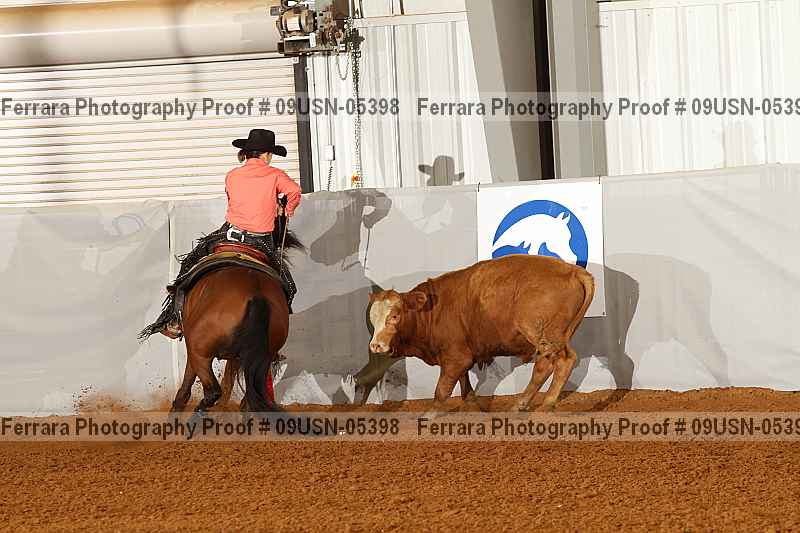 Proof 09usn-05398